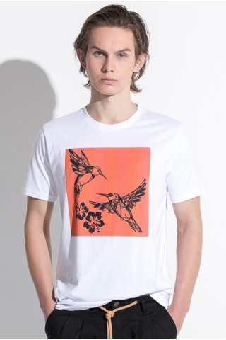 T SHIRT STAMPA